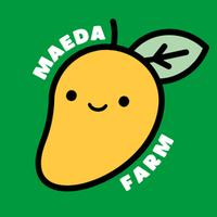 採果マンゴー 20kg 前田農園摘果マンゴー | 果物/マンゴー 産直アウル 農家から直接