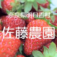 冷凍いちご 冷凍いちご２kg（１kg×２袋） 果物/いちご通販