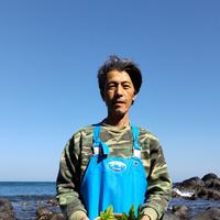 生ウニ（ムラサキウニ）1本（約70g入り） 1本（約70g入り） 魚介類/ウニ通販