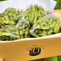 甘さはじける！スナップエンドウ　無選別品　１キロ 1キロ 野菜/豆類通販