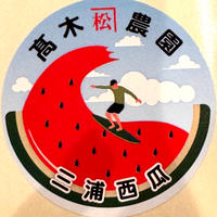 三浦産 高木農園大玉スイカ M 2個入り 10kg 果物/スイカ通販