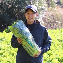 スズショップ すずショップのご紹介 | 田原市 | 産直アウル 農家から直接野菜