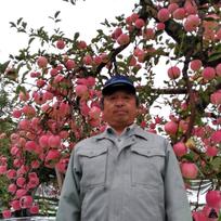 りんご王国日本一】百年樹齢林檎『青森三上農園』のご紹介 | 弘前市