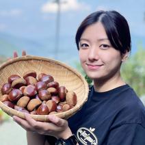 栗（果物）の産地直送商品一覧（通販・お取り寄せ）-産直アウル