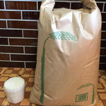 お米(ヒノヒカリ) 20kg ["加古川市", "産地詳細"] 通販