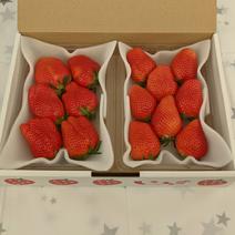 【4月特別価格】甘熟やよいひめ　2パック入り 300g×2パック 果物や野菜などのお取り寄せ宅配食材通販産地直送アウル