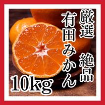 果物の産地直送商品一覧（通販・お取り寄せ）-産直アウル