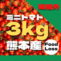 ミニトマト（野菜＞トマト）の産地直送商品一覧（通販・お取り寄せ
