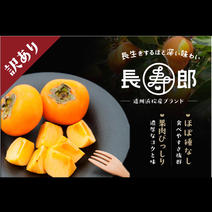 次郎柿の産地直送商品一覧（通販・お取り寄せ）-産直アウル