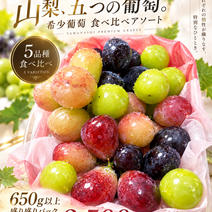 ぶどう食べくらべの産地直送食材一覧（通販・お取り寄せ）-産直アウル