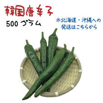 青唐辛子の産地直送商品一覧（通販・お取り寄せ）-産直アウル