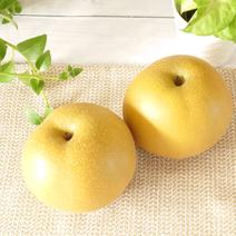 果汁溢れる豊水梨 約3kg 約3kg(程よいサイズ) 果物や野菜などのお取り寄せ宅配食材通販産地直送アウル