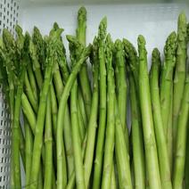 エコファーマー認定農家の訳ありアスパラ1.0kg（S～Lサイズ） S～L サイズ（1kg） 果物や野菜などのお取り寄せ宅配食材通販産地直送アウル