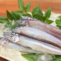【大容量】多くの料理で活躍する深海大メギス大1.6kg 大メギス2 果物や野菜などのお取り寄せ宅配食材通販産地直送アウル