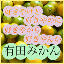 ゆら早生みかん 箱込み　5kg(4.5kg) 果物や野菜などのお取り寄せ宅配食材通販産地直送アウル