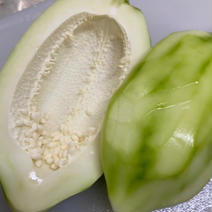 まこと農園の青パパイヤ2.5kg(5個前後) 2.5kg 果物や野菜などのお取り寄せ宅配食材通販産地直送アウル