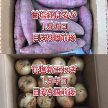 【鹿児島産】甘塩新玉ねぎ1.5キロ・甘塩サツマイモ1.5キロ^_^ 箱込み3キロ前後 果物や野菜などのお取り寄せ宅配食材通販産地直送アウル