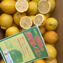 まるたま農園のハウスレモン 箱込約5kg 果物や野菜などのお取り寄せ宅配食材通販産地直送アウル