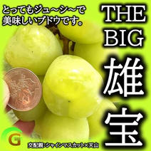 裂口新鮮ドリアン 箱込み約10kg 訳アリ品 裂口新鮮ドリアン 箱込み約
