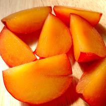 B品無農薬すもも　訳あり傷 訳あり１．５キロ 果物や野菜などのお取り寄せ宅配食材通販産地直送アウル