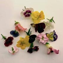 植物工場産　栽培期間中農薬不使用　エディブルフラワーMIX 20～25輪 果物や野菜などのお取り寄せ宅配食材通販産地直送アウル