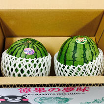 ギフト向き 熊本県産 小玉すいか 2玉 箱込み 約3キロ Mサイズ以上 特A優品  (001)小玉西瓜  熊本県産 果物 フルーツ ギフト プレゼント用   【バイヤー推奨商品】 2玉　3キロ以上 果物や野菜などのお取り寄せ宅配食材通販産地直送アウル