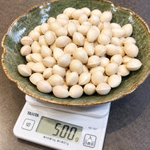 訳あり食材・商品 ｜ 【産直アウル】生産者の応援にも繋がる新鮮食材の
