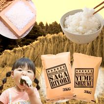 ラブキャット様 野菜セット お米10K ラブキャット様 野菜セット お米10K