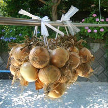 【早割】九代目園主が育てた！「つる付き淡路島たまねぎ(5kg」） 5kg 果物や野菜などのお取り寄せ宅配食材通販産地直送アウル