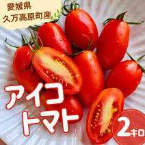 ミニトマトの産地直送食材一覧（通販・お取り寄せ）-産直アウル