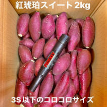 シルクスイート2kg(コロコロ芋) 紅琥珀スイート2kg(コロコロサイズ) 果物や野菜などのお取り寄せ宅配食材通販産地直送アウル