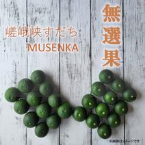 すだちの産地直送食材一覧（通販・お取り寄せ）-産直アウル