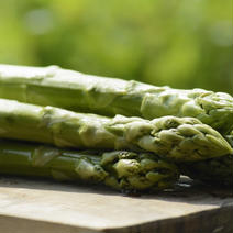 農事組合法人うづと・春芽アスパラガス（600g） 600g 果物や野菜などのお取り寄せ宅配食材通販産地直送アウル