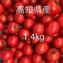 土佐のフルーツトマト1.4kg 1.4kg 果物や野菜などのお取り寄せ宅配食材通販産地直送アウル