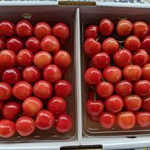 さくらんぼ佐藤錦700g 700g 果物や野菜などのお取り寄せ宅配食材通販産地直送アウル