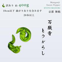 ししとうの産地直送食材一覧（通販・お取り寄せ）-産直アウル