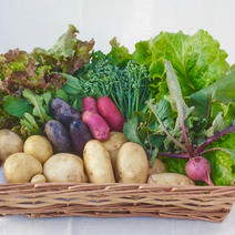 t.p.C farmのお野菜セットMサイズ(約2kg) 2kg 果物や野菜などのお取り寄せ宅配食材通販産地直送アウル