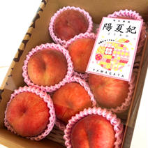 甘さ濃厚！山形県産白桃 陽夏妃【2キロ中玉】 2キロ 果物や野菜などのお取り寄せ宅配食材通販産地直送アウル