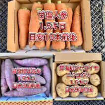 【鹿児島産】甘塩ジャガイモ1.5キロ・甘塩人参1.5キロ・ジャガイモ1.5キロ^_^ 箱込み4.5キロ前後 果物や野菜などのお取り寄せ宅配食材通販産地直送アウル