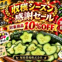 中島　きゅうり　箱込み約２０キロ きゅうりの産地直送食材一覧（通販・お取り寄せ）-産直アウル