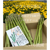【アウルの日】だいち農園の春のアスパラガス2L /3L 100グラムのおまけ付き １キロ 果物や野菜などのお取り寄せ宅配食材通販産地直送アウル