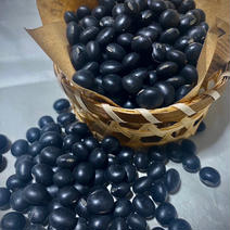 2023年北海道産　黒豆 600g 果物や野菜などのお取り寄せ宅配食材通販産地直送アウル