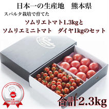 母の日【極み】⑥ソムリエトマト　1.3kgとソムリエミニトマト　ダイヤ1kgのセット（60玉から90玉） 2.3kg（トマト1.3kgミニトマト1kg） 果物や野菜などのお取り寄せ宅配食材通販産地直送アウル
