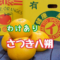 【訳あり】プリプリでジューシー！さつき八朔（樹上超熟八朔） ●4kg 正味4kg 果物や野菜などのお取り寄せ宅配食材通販産地直送アウル