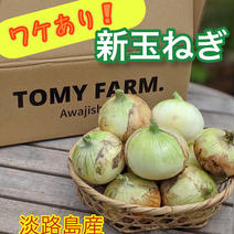 ワケあり‼︎淡路島産 新玉ねぎ　10キロ 10キロ 果物や野菜などのお取り寄せ宅配食材通販産地直送アウル