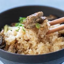 能登産かきめしの素2合用　3ケセット 能登産かきめしの素2合用　3ケセット 果物や野菜などのお取り寄せ宅配食材通販産地直送アウル