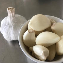 にんにくの産地直送食材一覧（通販・お取り寄せ）-産直アウル