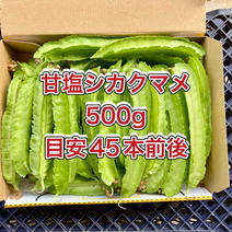 【鹿児島産】甘塩シカクマメ箱込み500g^_^ 箱込み500g前後 果物や野菜などのお取り寄せ宅配食材通販産地直送アウル