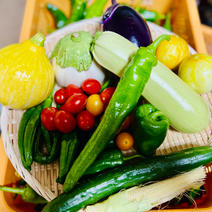 北海道産採れたて旬野菜詰め合わせセット80サイズ箱5〜10品種 入れるものによって変動しますが箱重量込み5キロが最大。 果物や野菜などのお取り寄せ宅配食材通販産地直送アウル