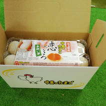 アスタキサンチンを飼料に添加　「平飼い卵」恋ごころ　10個入り✖️2パック 1.3Kg 果物や野菜などのお取り寄せ宅配食材通販産地直送アウル